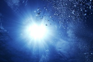 世界自行车女性教练培养班招生启动，自行车女子世界冠军
