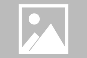 世界举重青训营康复训练教材更新与示范视频发布，世界举重冠军视频